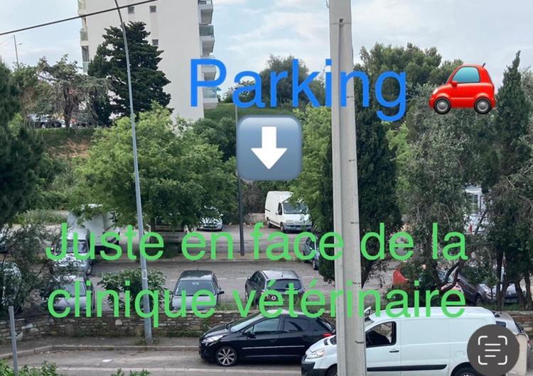 Location Chambre Avec Salle De Bain Et Partie Commune Sea View & Mountain View Renting 1 Of 3 Bedrooms With Shared Common Space 3 Bdrm Apt Not 1 Bdrm Plus Clime Ou Ac Bastia  Luaran gambar